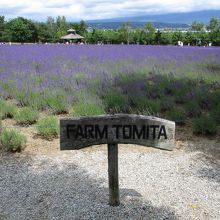 ファーム富田