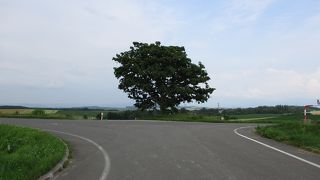 夏の訪問がいい