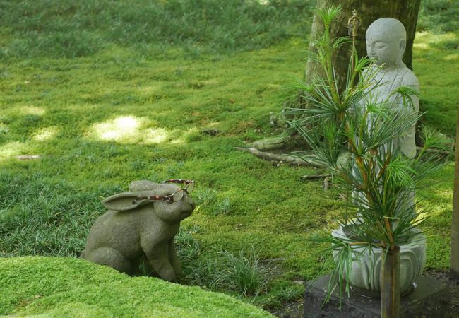 明月院本堂後庭園 クチコミ アクセス 営業時間 鎌倉 フォートラベル 明月院本堂後庭園 クチコミ アクセス 営業時間 鎌倉 フォートラベル