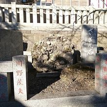 玉前神社さざれ石