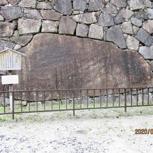 どうやって運んだのでしょう