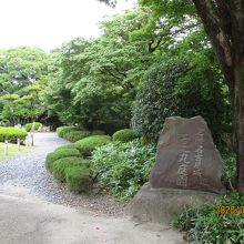 緑がいっぱいです