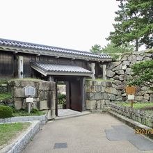 右手にある木が御殿椿