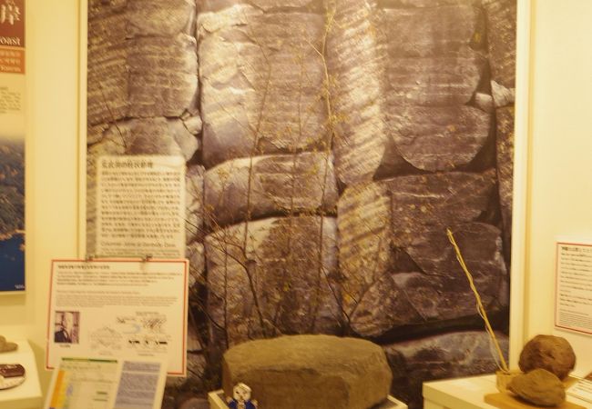 ジオパークの岩石等展示ある海と大地の自然館