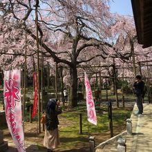 六地蔵寺