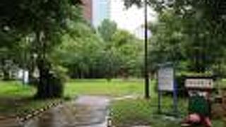 緑に富んだ公園