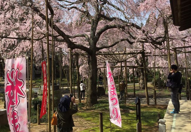 六地蔵寺