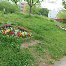 花時計みたいです