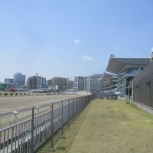 川崎競馬場