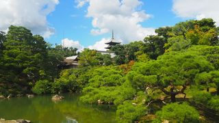 壮大なランドスケープ