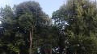 駐車場と民家に埋まっていてわかりにくい古墳です