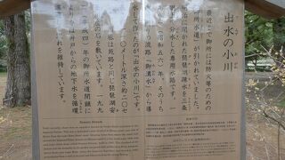出水の小川・琵琶湖疎水から循環地下水へ・・・
