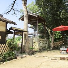 音を聞いてみたかったです。