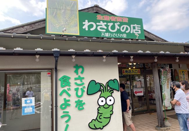 「天城わさびの里」生産者直送！本わさびがお得な値段で購入する事のできる店♪