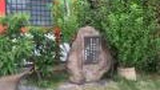 これが見物です