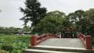 社殿に向かって、右が源氏池、左が平家池