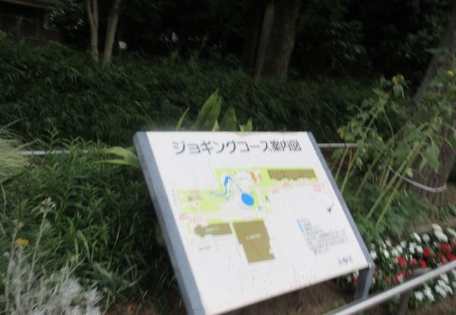 滝野川公園 クチコミ アクセス 営業時間 王子 十条 フォートラベル 滝野川公園 クチコミ アクセス 営業時間 王子 十条 フォートラベル