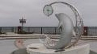 こんなところにイルカ？