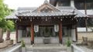 境内が広いです