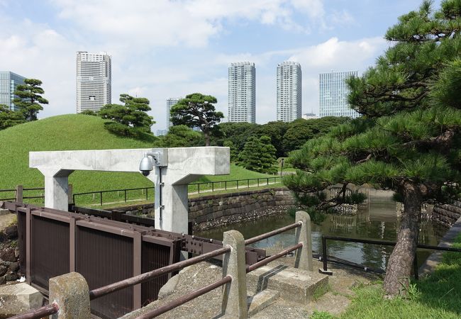 浜離宮恩賜庭園 水門 クチコミ アクセス 営業時間 汐留 フォートラベル