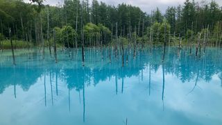 想像より青かった。