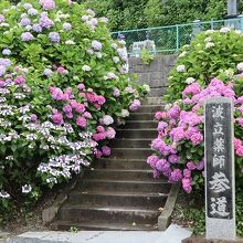 波立寺（波立薬師）