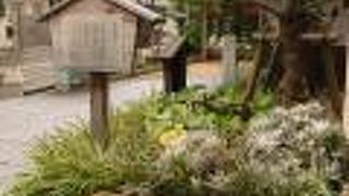 子供が遊ぶほどのスペースはない