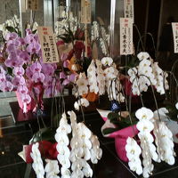 エントランスはお祝い花が溢れていました。