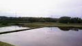 4月は水が張られた田んぼの広がる車窓で風情たっぷり