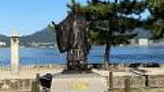 息子がファンです