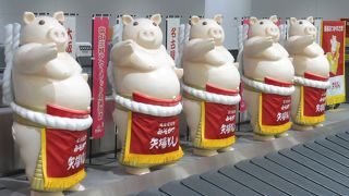 矢場とん軍団がお出迎え