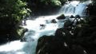 テレビの撮影をしていました