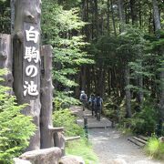 駐車場に入るのに1時間かかりました