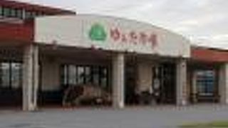 マンゴーや野菜