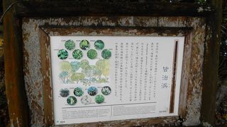 星の砂を採取に