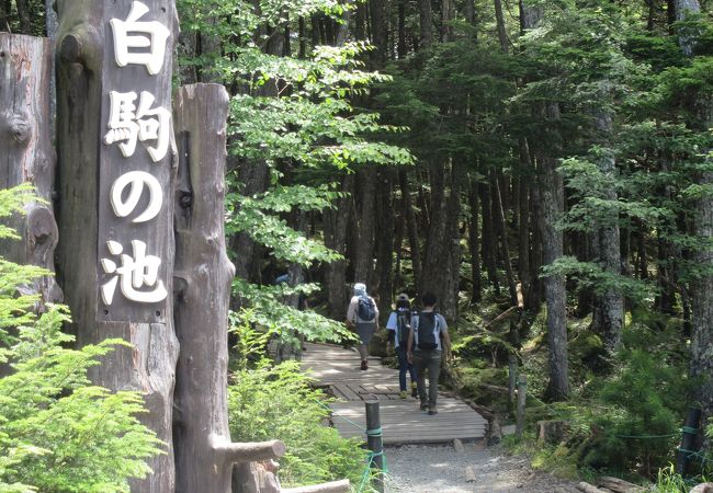 駐車場に入るのに1時間かかりました