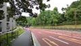 赤坂御用地の緑がきれいです