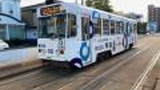 函館市の風物詩。パスモが使えました。