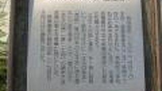 雑草に囲まれた姿がちょっと切ない風情でした