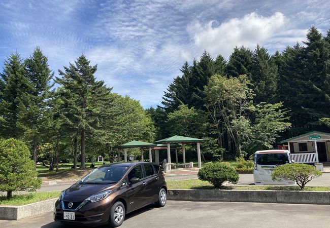 桜舞馬公園