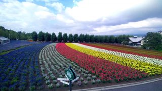 のんびりできる美しいガーデン