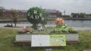 少しだけ心が癒されました