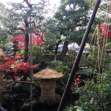 「武家屋敷跡野村家」の風情のある庭園