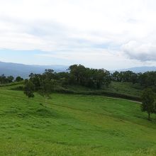 こんな高原から大自然を眺めれるって最高ですね！