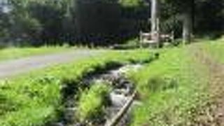 今も御神水として利用されています