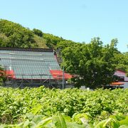 赤い屋根は張替え中！