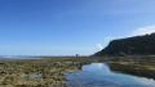 シュノーケル向き！