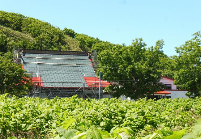 赤い屋根は張替え中！