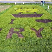 ミュージアム施設が充実、田んぼアートもある道の駅