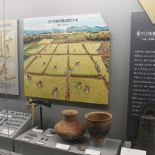 弥生時代の国府ムラの様子